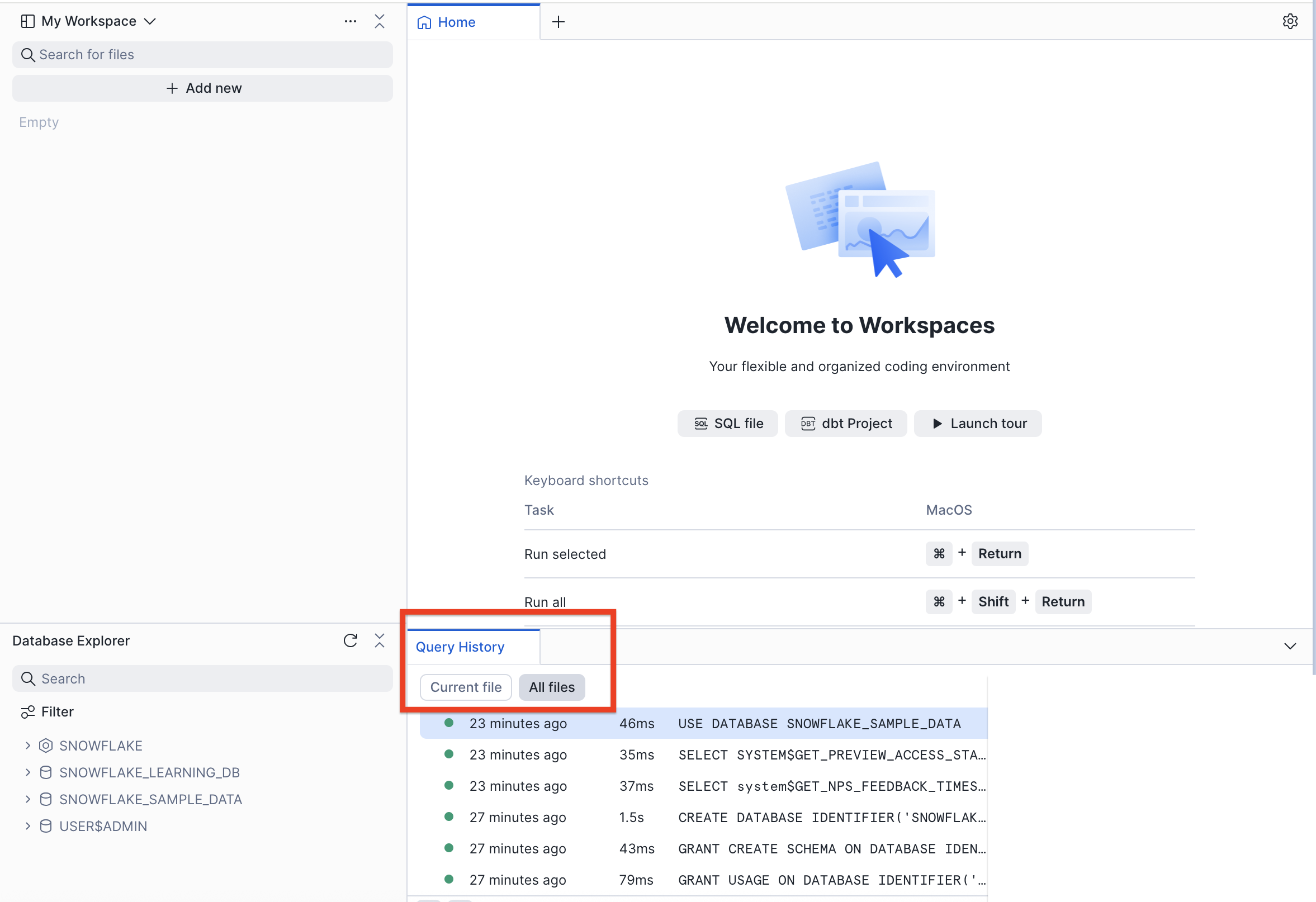 Query History Disappears from Current File After Renaming a Worksheet ...